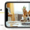 Cámara Boykeep 2K para perros y mascotas con app para teléfono, cámara de seguridad para bebés en interiores con wifi 5G/2.4GHz, movimiento horizontal y vertical de 360°, audio bidireccional y visión nocturna.