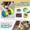 Juguetes interactivos para perros pequeños, grandes y gatos que mejoran el coeficiente intelectual. Entrenamiento en interiores. Juguetes para cachorros, chihuahuas, bulldogs franceses y carlinos. Suministros para mascotas.