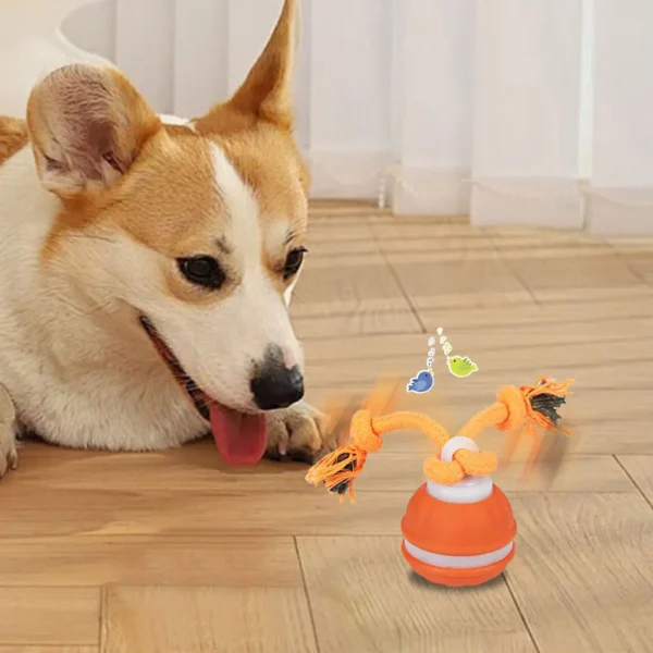 Pelota rodante con activación por movimiento para perros, juguete interactivo recargable por USB para cachorros, perros pequeños y medianos, pelota rodante con cuerda.