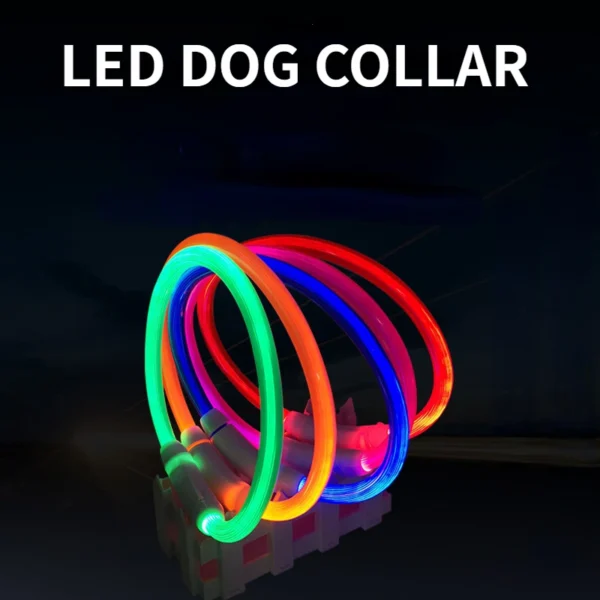 Collar luminoso LED para mascotas con carga USB, collar antipérdida para perros y gatos, accesorios para perros y gatos.