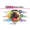 KONG Classic Dog Toy- Toughest Natural Rubber, Red- Fun to Chew