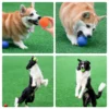 Pelota de Goma Resistente para Perros – Diversión sin Fin