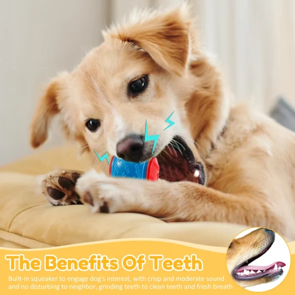 Set de 6 Pelotas Squeaky –