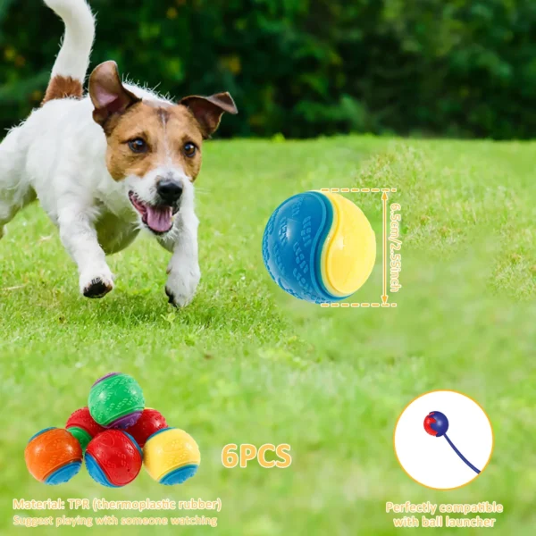 Set de 6 Pelotas Squeaky –
